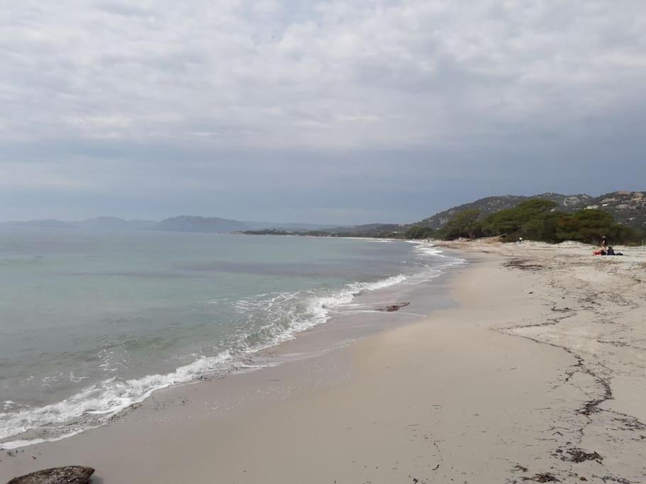 4 Pers Coeur Du Lavandou 5mn A Pied Des Plages Le Lavandou