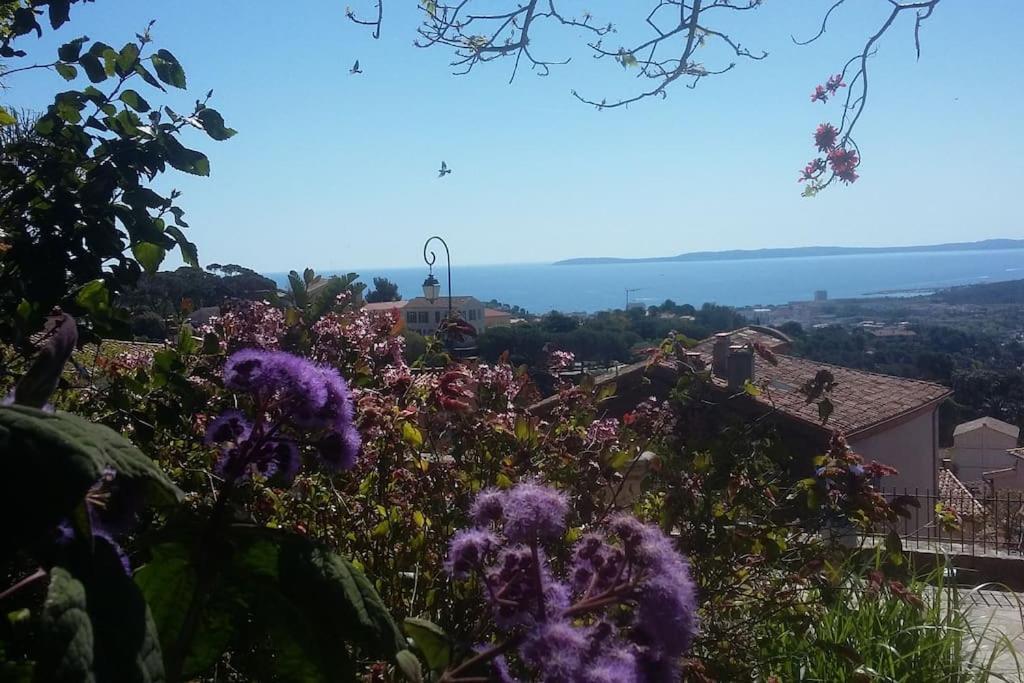 Appartement 4 Pers Coeur Du Lavandou 5mn A Pied Des Plages *